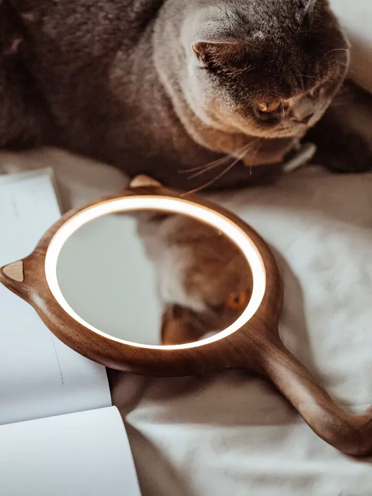 A cute cat ears mirror with integrated lights to enhance your makeup routine