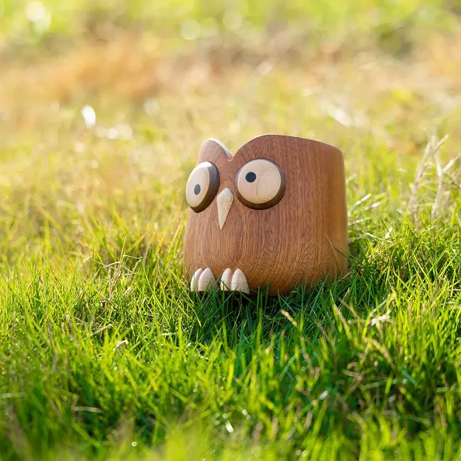 Owl-themed wooden stationery box for office use