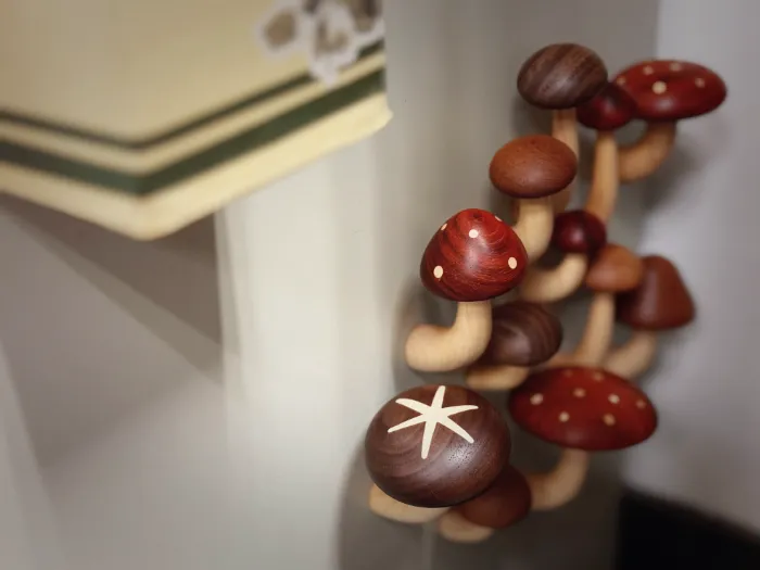 Review of Mushroom Magnets