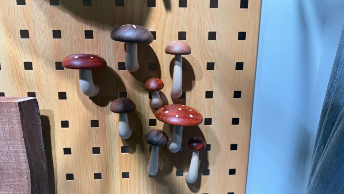 Review of Wooden Mushroom Magnets Display